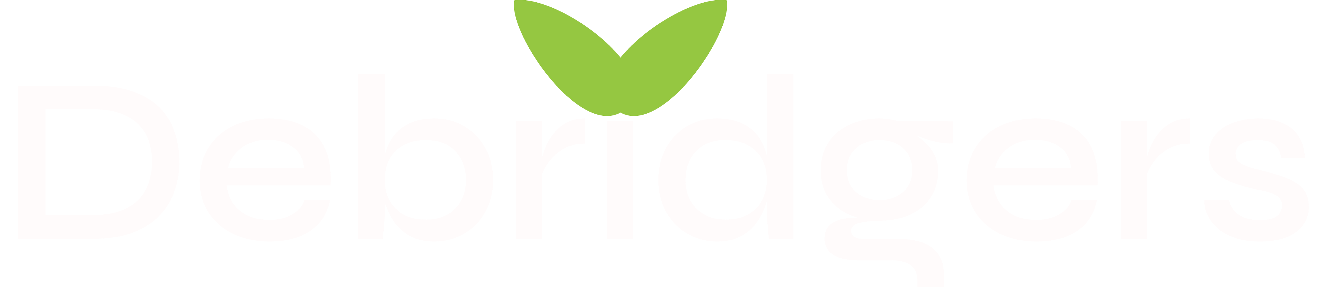 Debridgers Logo